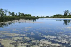 horicon-marsh-1