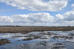 horicon-marsh-2