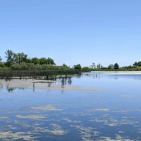 Horicon Marsh reflecting the clear blue sky on a summer day