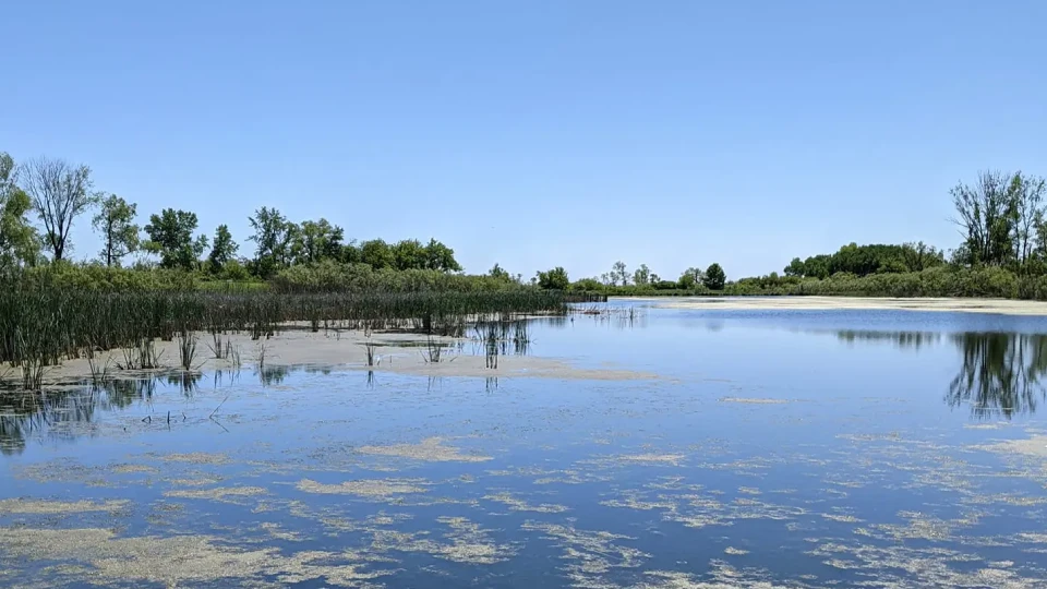 Horicon Marsh reflecting the clear blue sky on a summer day